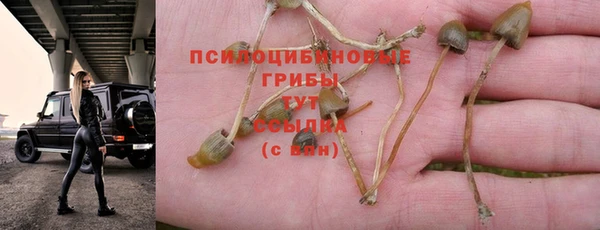 соль ск Богданович
