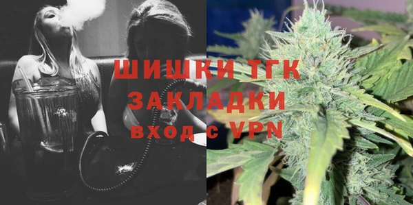 мдпв Богородицк