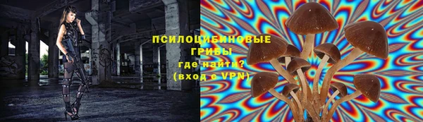 соль ск Богданович